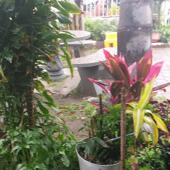 Meet your Posher, K - Picture 1 of 1